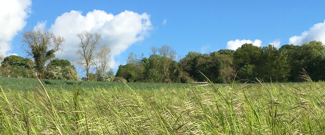 So… where to start