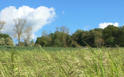 So… where to start