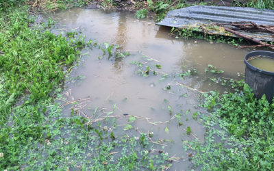 The day the rain came